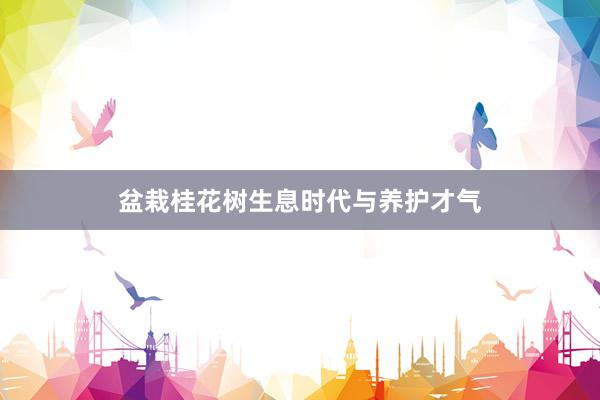 盆栽桂花树生息时代与养护才气