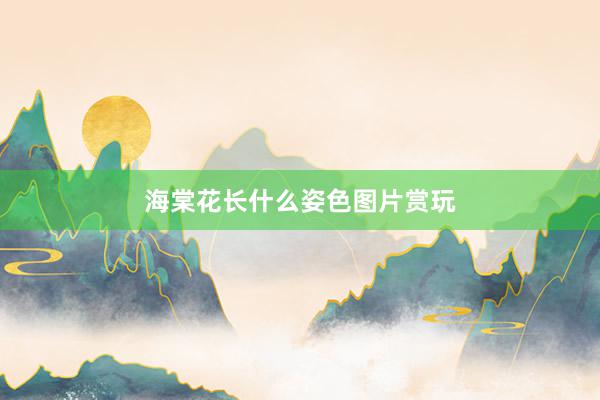 海棠花长什么姿色图片赏玩