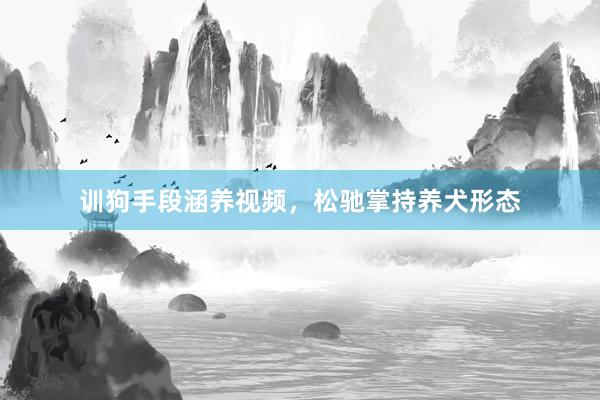 训狗手段涵养视频，松驰掌持养犬形态