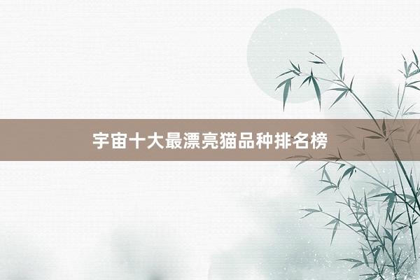 宇宙十大最漂亮猫品种排名榜