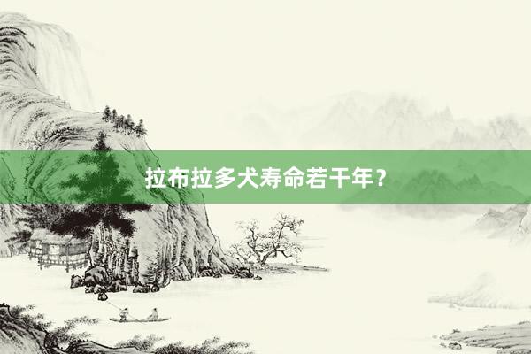 拉布拉多犬寿命若干年？